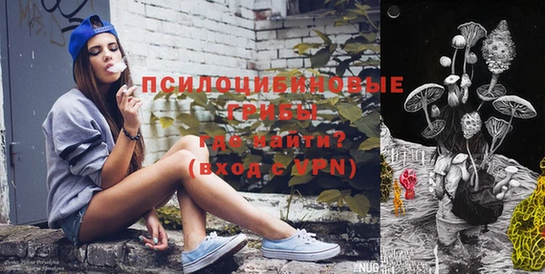 дурь Алексин
