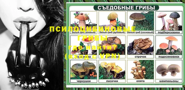 сатива Алексеевка