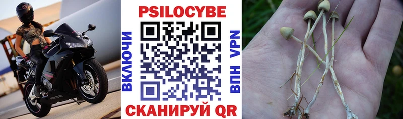 Псилоцибиновые грибы Psilocybine cubensis  hydra онион  Аткарск 